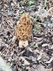 Resized_20190429_174558.jpeg