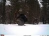 FB_IMG_1556228227734.jpg