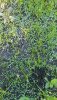 20190508_172831.jpg 20190508_172831.jpg