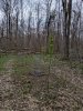 keiffer creek plot.jpg