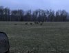 IMG_4590.JPG IMG_4590.JPG