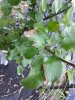 20190519_184745.jpg