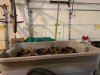 IMG_0580.jpeg