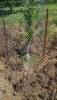 20180607_143422.jpg