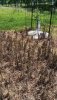 20180607_143445.jpg