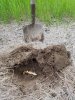 20190520_122036.jpg