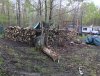 IMG_4825.JPG