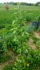 20190530_114601.jpg