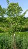 20190603_083052.jpg