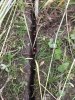 3F383182-E63C-4737-A188-DDBD3598CB82.jpeg