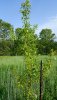 20190603_083246.jpg