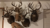 D8209449-95D8-48E8-947C-242231A6BACA.png