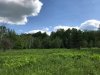 693865CF-FA84-4299-8865-88C33262831C.jpeg