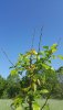 20190606_082849.jpg