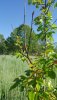 20190606_082837.jpg