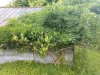 IMG_20190608_110247366.jpg