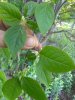 IMG_20190611_194049455.jpg