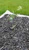 20190619_123917.jpg