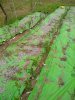 IMG_20190612_185846667.jpg