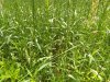 IMG_20190624_131123720.jpg