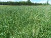 20190625_151858.jpg