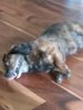 20190626_180729.jpg