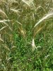 20190627_114840.jpg