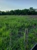 20190701_185413.jpg