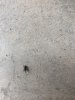 71A7DECD-A010-406F-A671-2CE57C4D3EE6.jpeg