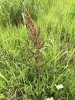 9F5BD7DF-40B6-4C3E-AD39-432A569C5848.jpeg