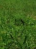 20190710_133832.jpg