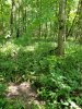 20170821_150622.jpg