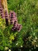20190716_155100.jpg