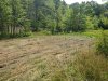 20190720_124835.jpg