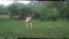 B7114E39-32FD-4098-8A24-F84C9D13F1BB.jpeg