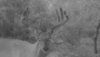 33B9BA78-8357-4F1F-940A-76B2B17057E9.jpeg
