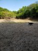 20190725_185128.jpg
