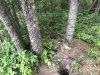 IMG_5566.JPG