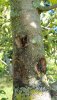 20190815_081448.jpg