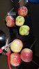 20190815_105527.jpg 20190815_105527.jpg