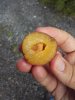 20190814_145317.jpg