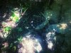 A82EE0A3-322E-49E4-A294-E621837FED57.jpeg