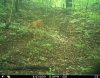 082319Big10Buck.JPG