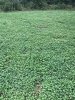 75F00346-09BF-4917-AA97-283306E541AA.jpeg