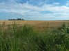 20190901_162538.jpg
