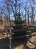 rsz_norway_spruce_wood_fence.jpg