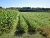 DSC08109.JPG