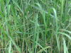 3E1694E5-6A3A-4601-81E6-47EAD6C74909.png
