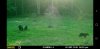 Screenshot_20190914-112546_Gallery.jpg