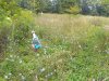 IMG_20190816_122627981.jpg